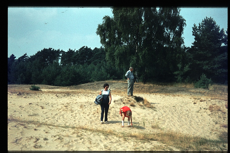 04.Veluwe aug 1973 Rino,Ilse,Brigitte.JPG